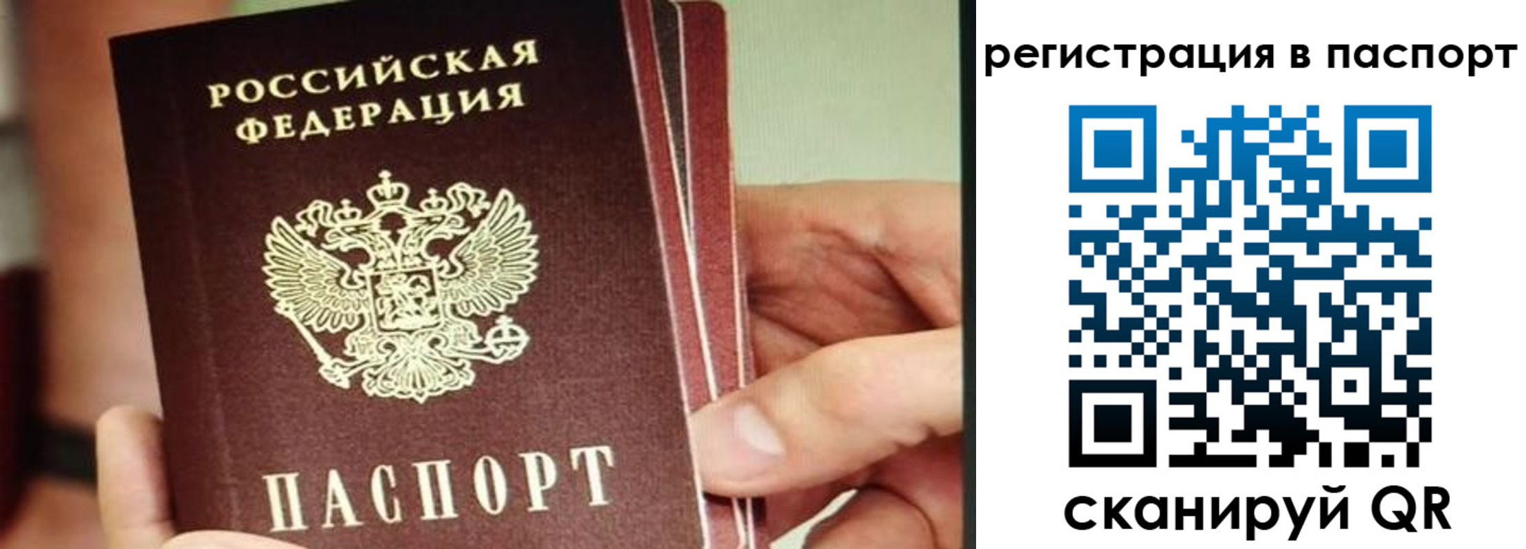 временная регистрация надежно в Находке